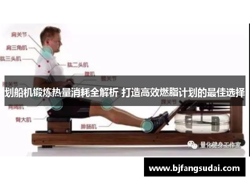 划船机锻炼热量消耗全解析 打造高效燃脂计划的最佳选择