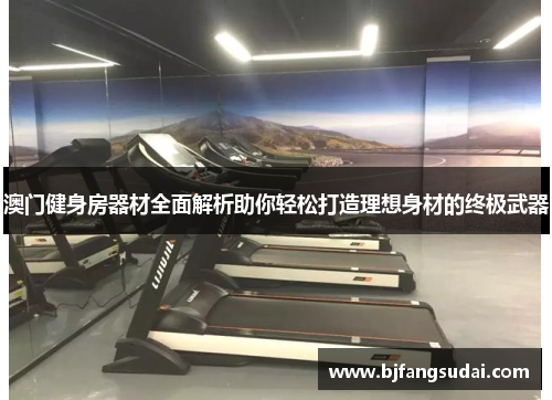 澳门健身房器材全面解析助你轻松打造理想身材的终极武器