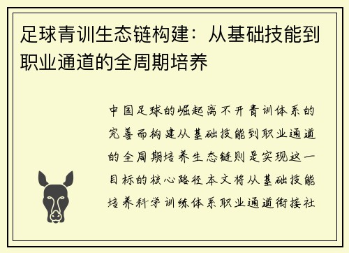 足球青训生态链构建：从基础技能到职业通道的全周期培养